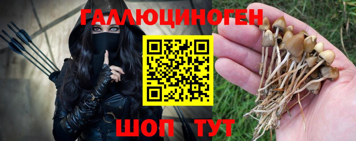 Псилоцибиновые грибы ЛСД  Вход с VPN  Карабулак 
